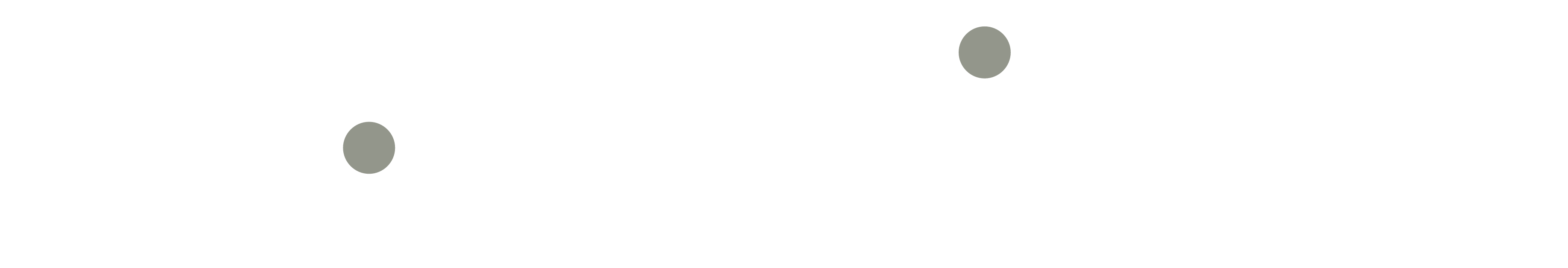W Advisors