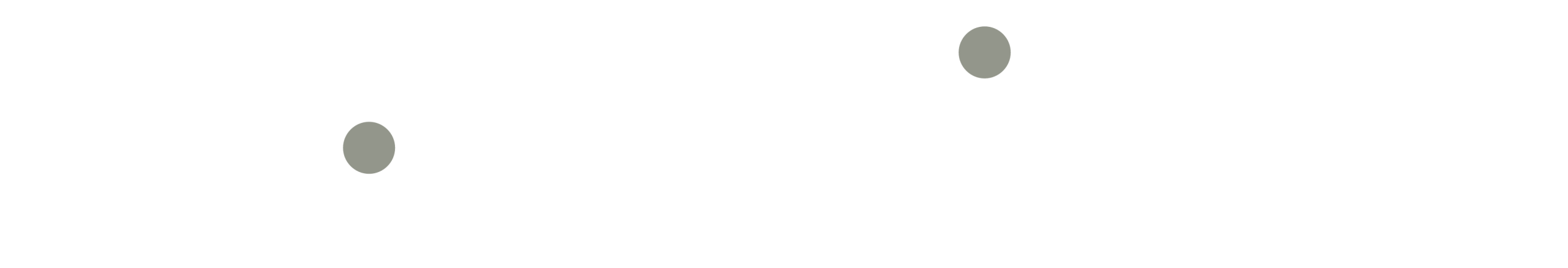 W Advisors Asset